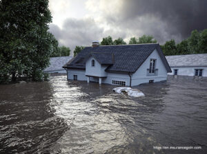 Flood Insurance Flood Insurance Program 14 Flood Insurance, Flood Insurance Program