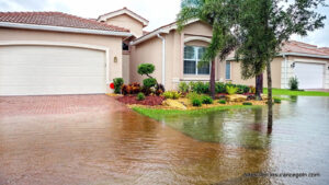 Flood Insurance Flood Insurance Program 27 Flood Insurance, Flood Insurance Program